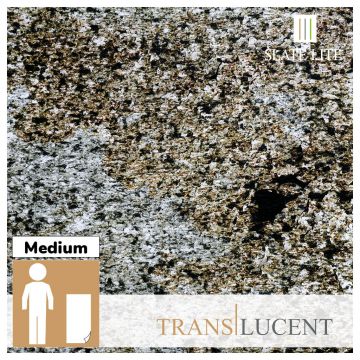 Translucent Argento Auro Stone Veneer